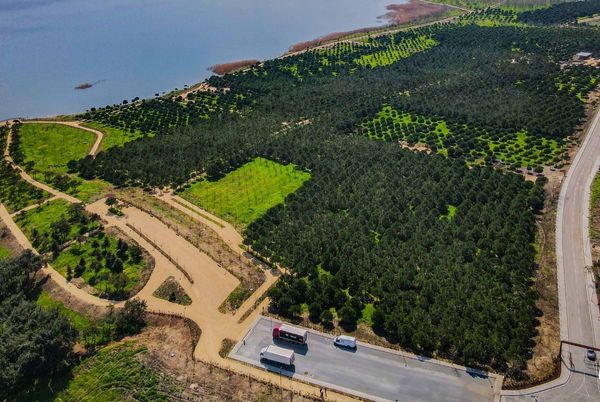 Büyükçekmece Doğal Yaşam Parkı'nın 2. Etabını Açtık